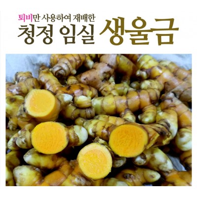 생울금(특) 5kg